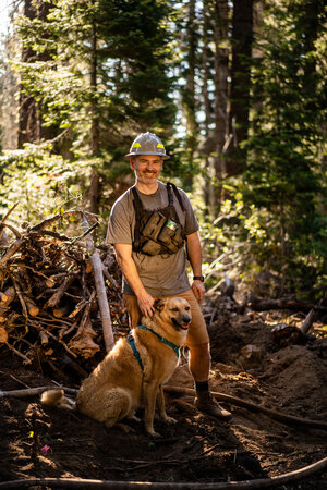 Working in the forest