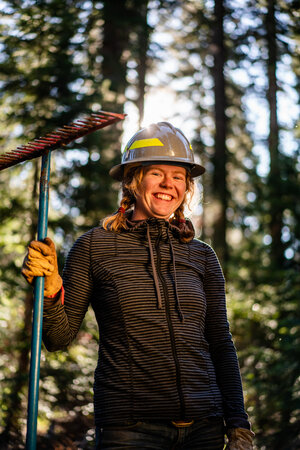 Working in the forest