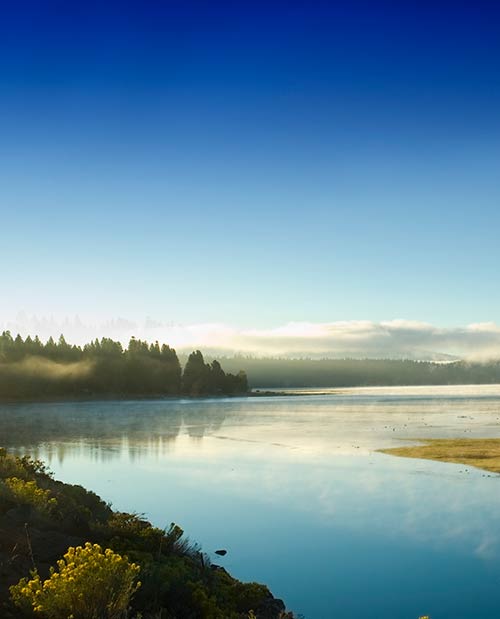 Lake Almanor shoreline early morning